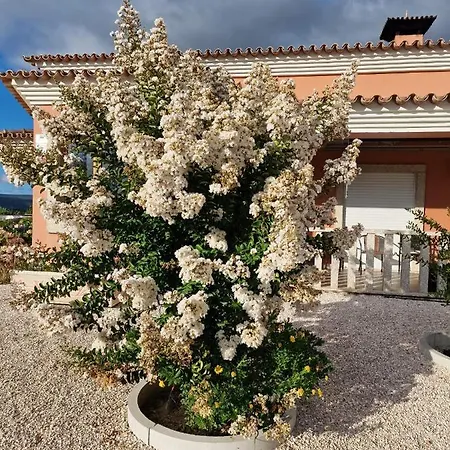 Recanto Da Serra - Local 洛萨