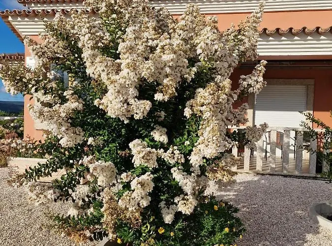 Recanto Da Serra - Local Lousã